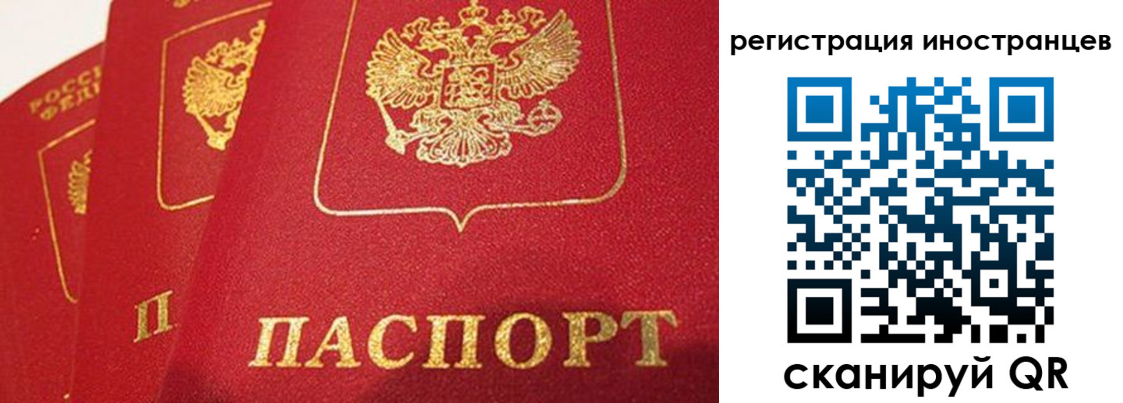 временная прописка в Торопеце